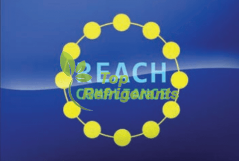 REACH europe
